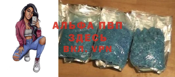 спайс Баксан