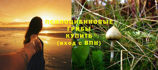 спайс Баксан