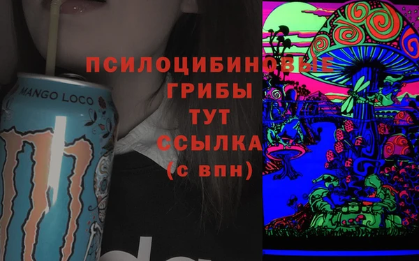 спайс Баксан
